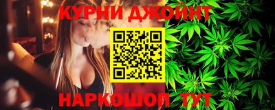 шишки Дубна