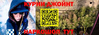 шишки Дубна