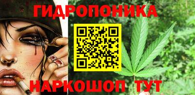шишки Дубна