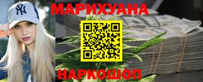 шишки Дубна