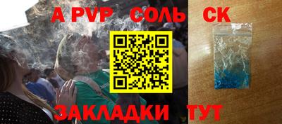 шишки Дубна