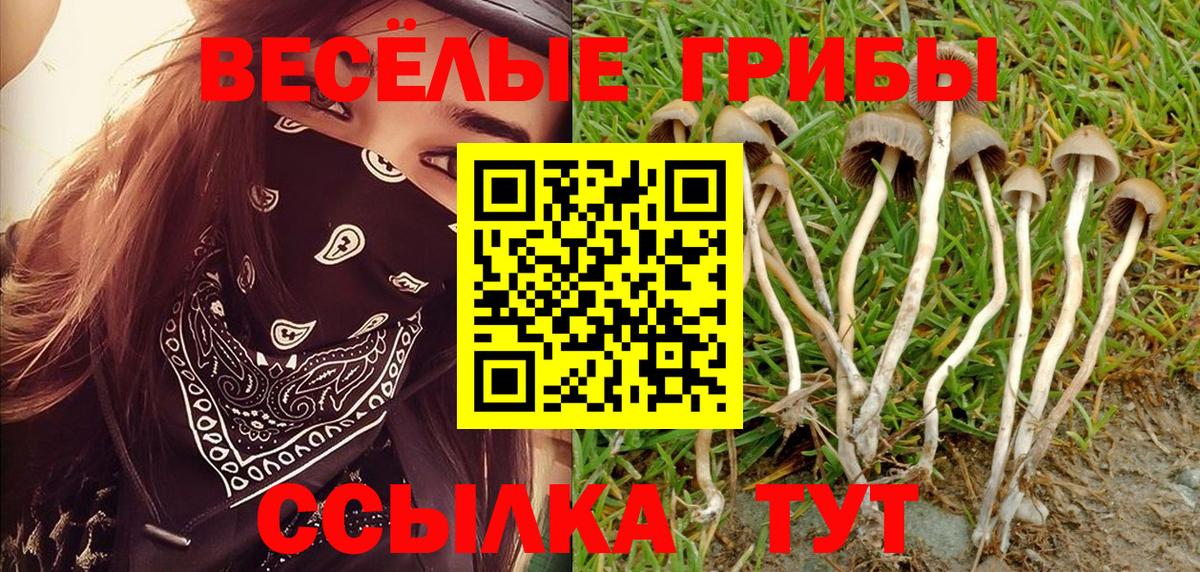Псилоцибиновые грибы ЛСД  закладки  Вход с VPN  Нальчик  Галлюциногенные грибы Magic Shrooms 
